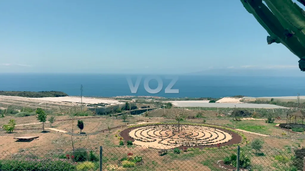 Workshop Healing · Tenerife